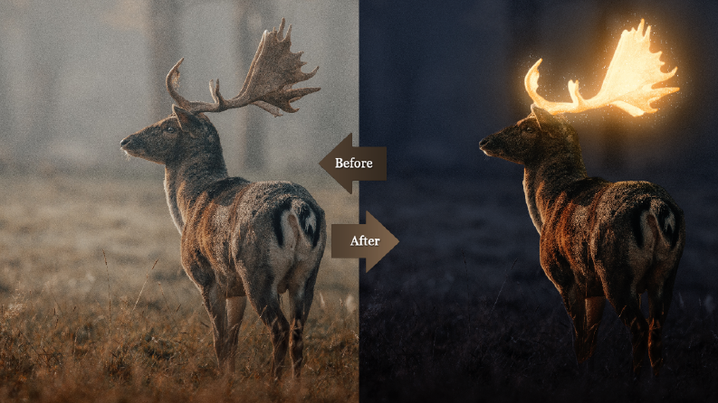 Photoshop Fotoğraf Düzenleme