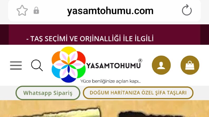 Etkili ve Popüler E-ticaret Siteleri