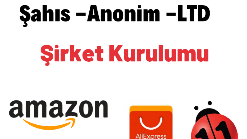 Online Şirket Kurulumu