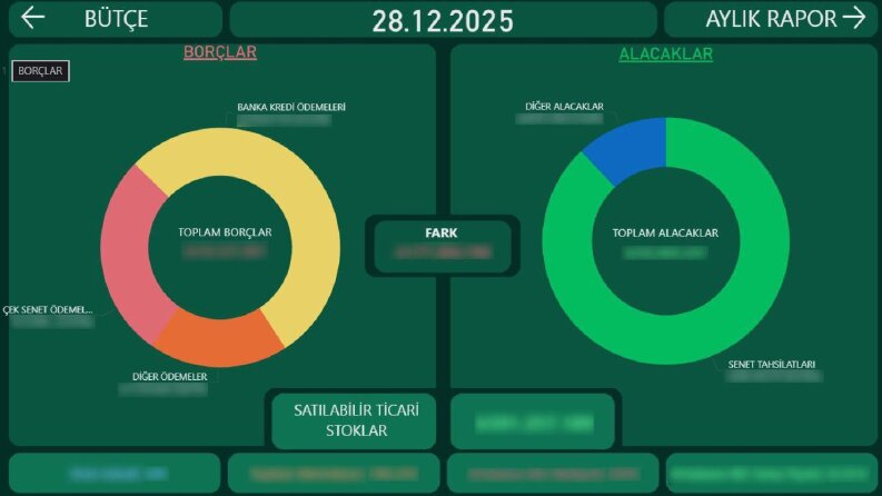 Gayrimenkul Alanında Aylık ve Günlük Bütçe Raporu