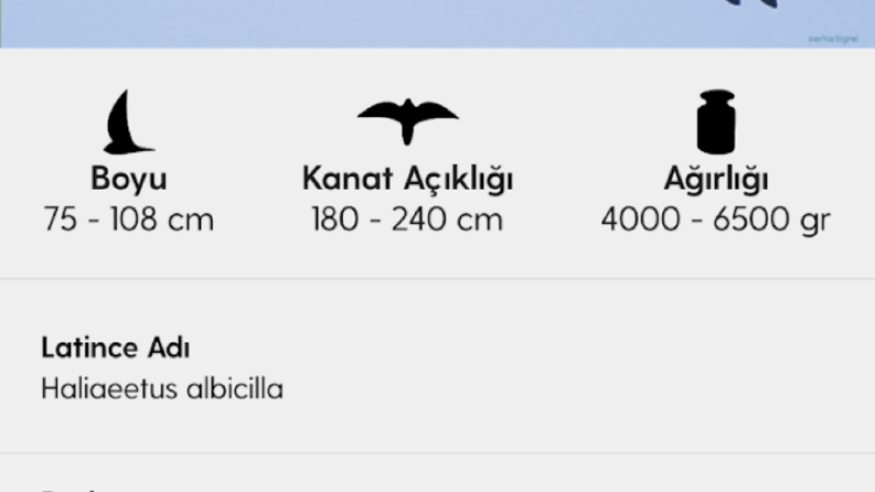 Turkiye Kusları