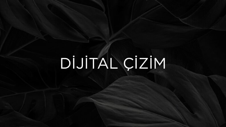Digital Çizim