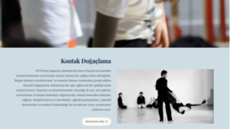 ci-turkey.org