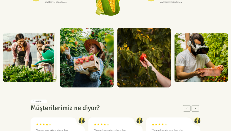 Profesyonel, UI/UX Design
