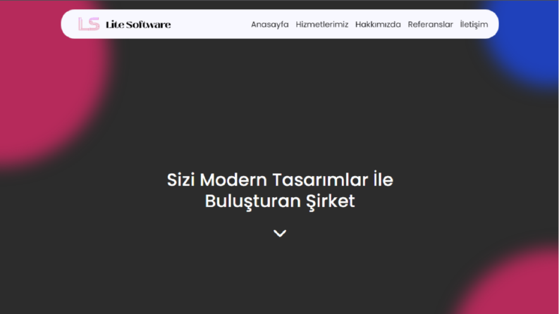 lite software web sayfası