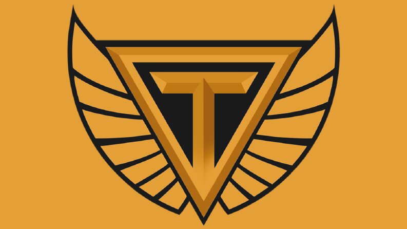 Profesyonel Logo Tasarımı
