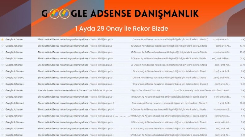 1 Ayda 29 Adsense Onayı Aldık.