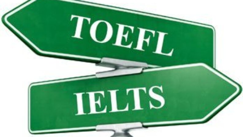 PROFESYONEL ÇEVİRİ
