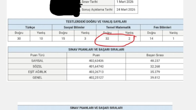 Profesyonel koçluk ve özel ders