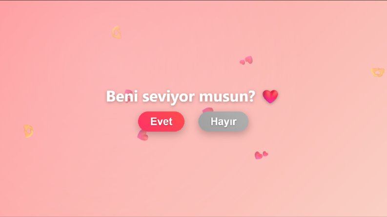 Web Tasarımları