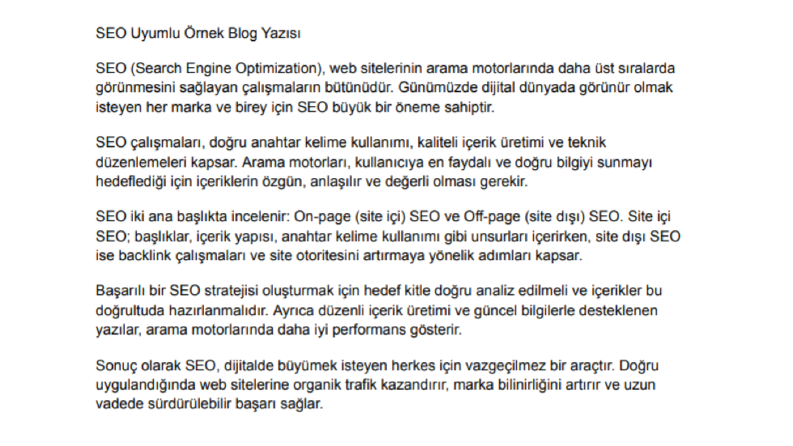 SEO Uyumlu Örnek Blog Yazısı