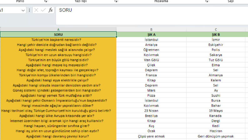 Soru-Cevap Excel Veri Düzenleme