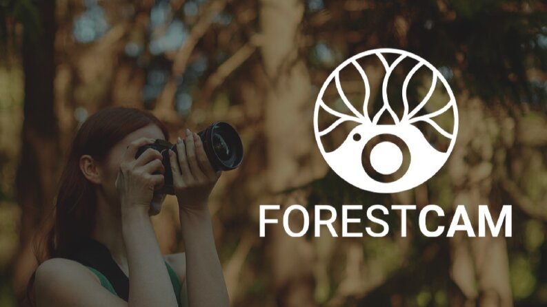 ForestCam - Konsept Logo Çalışması