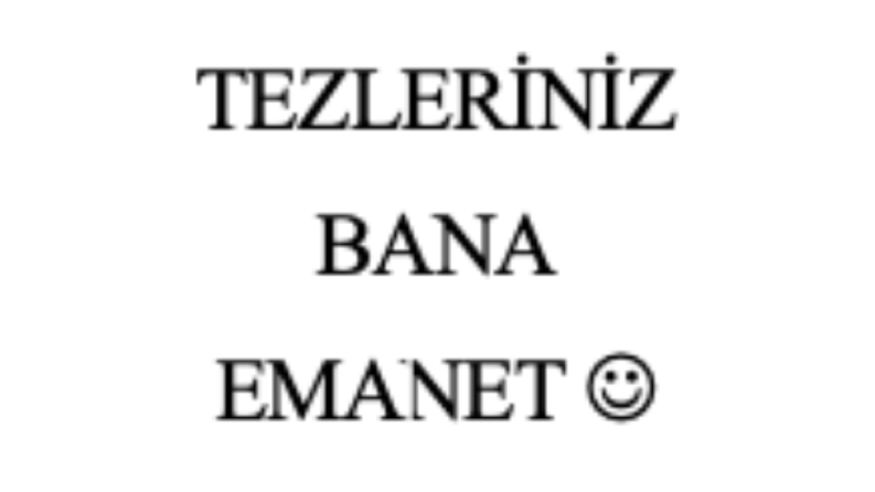 tez düzenleme redaksiyon işleri bende...