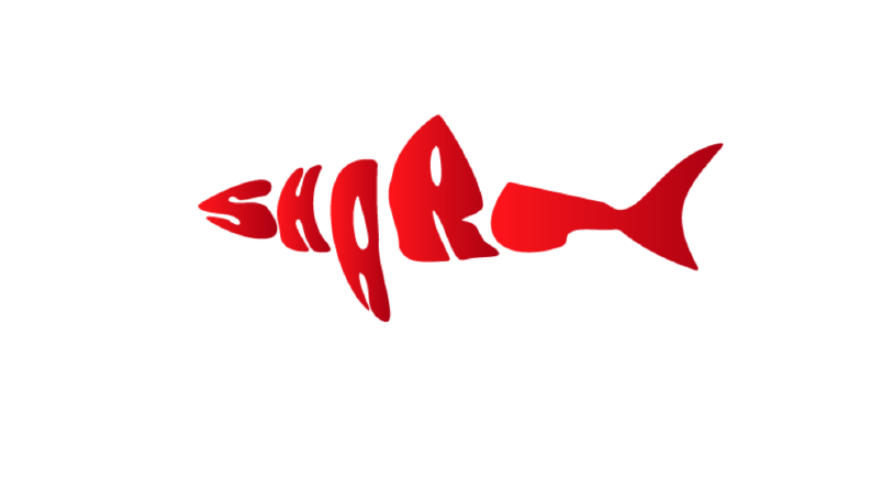 SHARK MARKASI İÇİN LOGO TASARIMI 