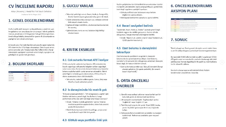 Kariyer ve CV Raporu Örnekleri