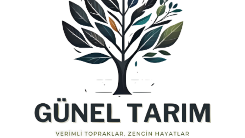 Firmanıza Renk Katalım