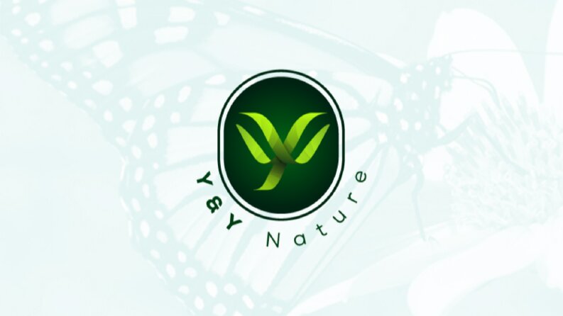 Y&Y Nature Logo Tasarımı