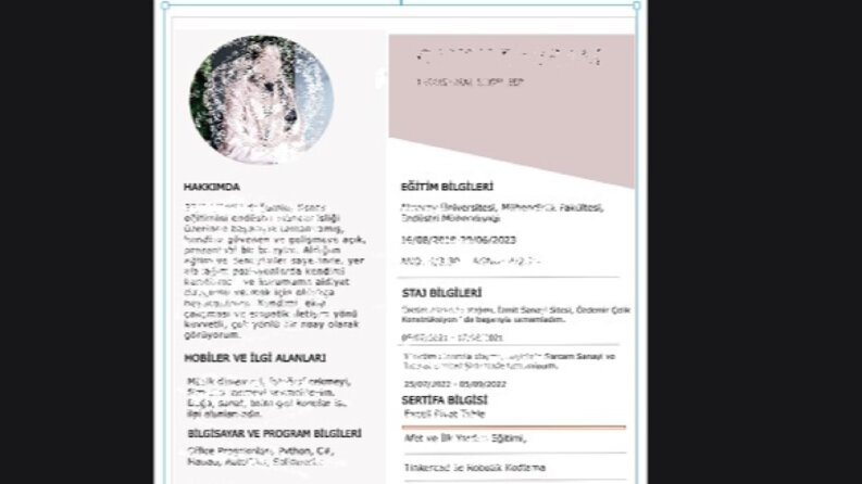 Tasarım Cv