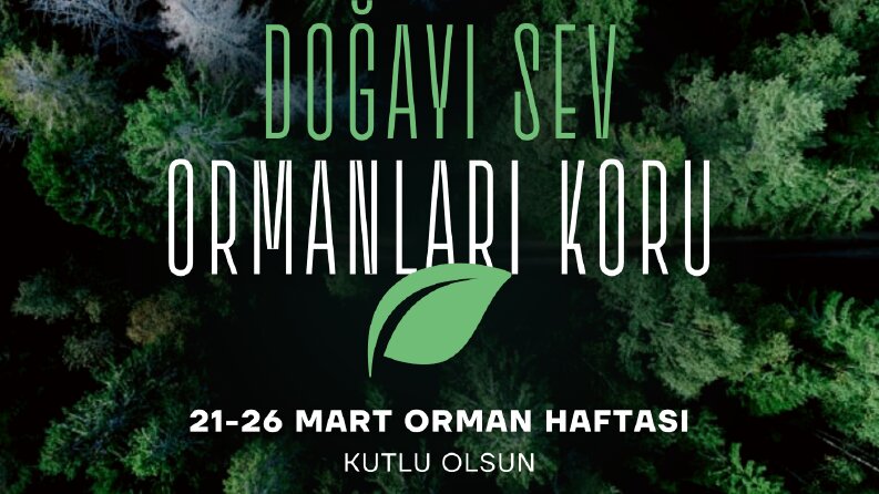Sosyal Medya Tasarımı 4