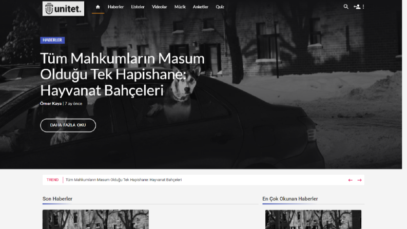 Haber, Blog sitesi