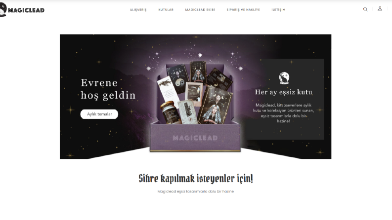 Web Site