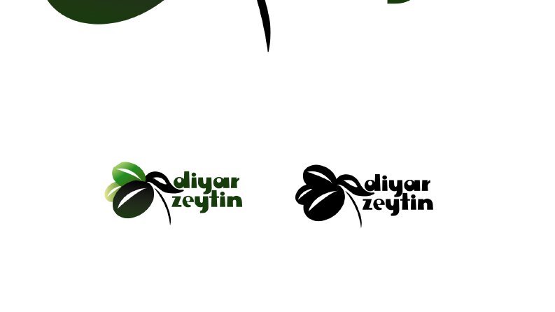 logo2