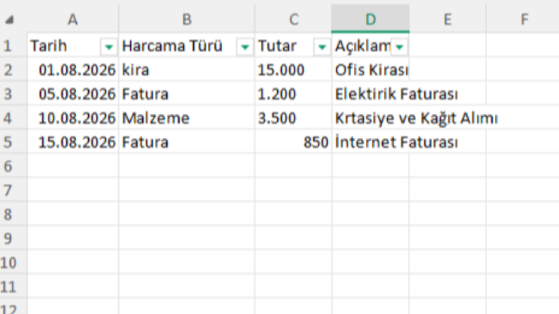 Gider ve Harcama Yönetim Tablosu (Filtreleme Özellikli)