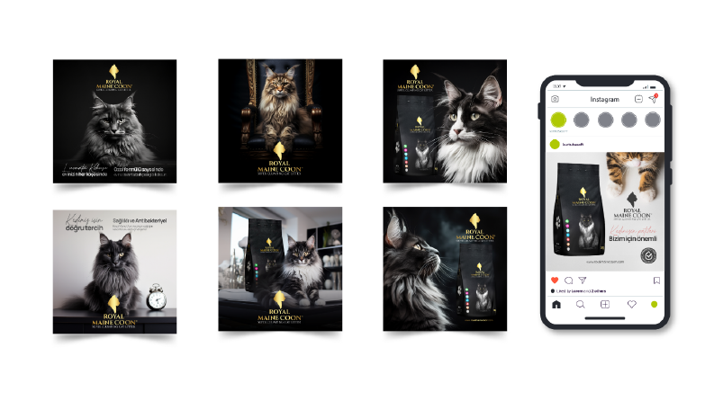 Krallar Gibi Beslen – Royal Maine Coon Sosyal Medya Tasarım