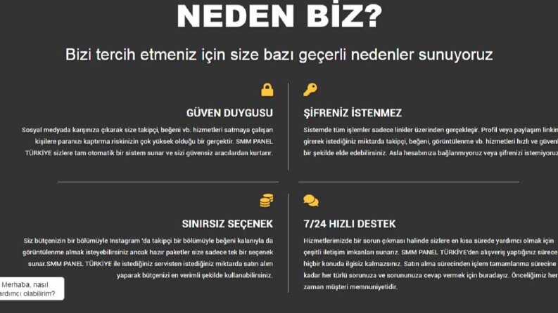 smm panel tasarım