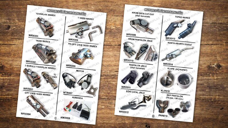 Egzozcum firması için katalog çalışmaları