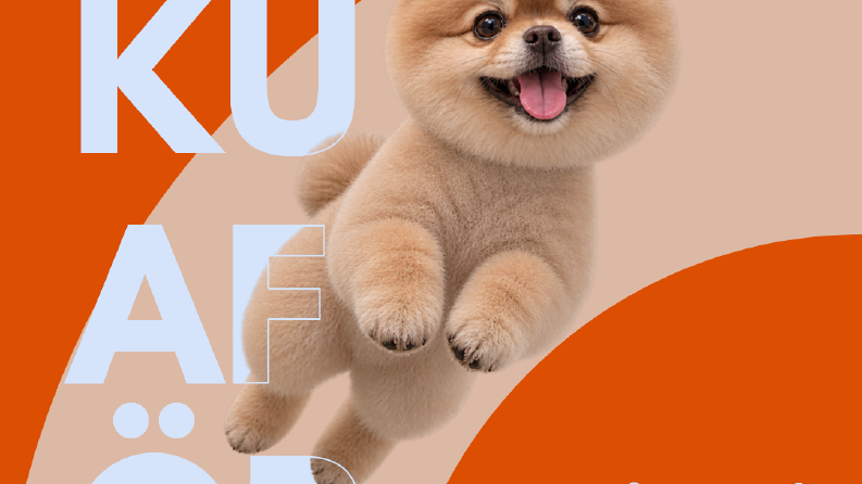 Pet Kuaför Sosyal Medya Post Tasarımı