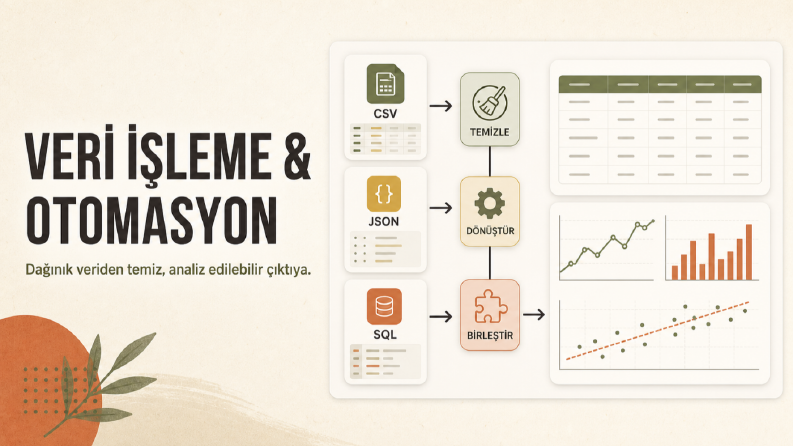 Python Veri İşleme ve Analiz Otomasyonu