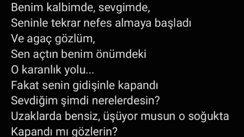 Şarkı Sözü