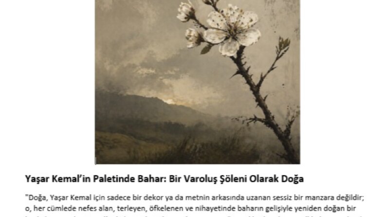 "Edebi Makale Yazımı ve Dergi Mizanpajı Tasarımı"