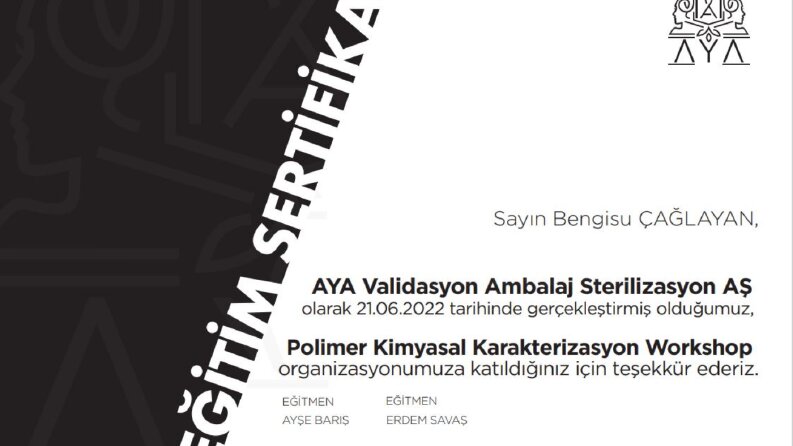 AYA eğitim sertifikası