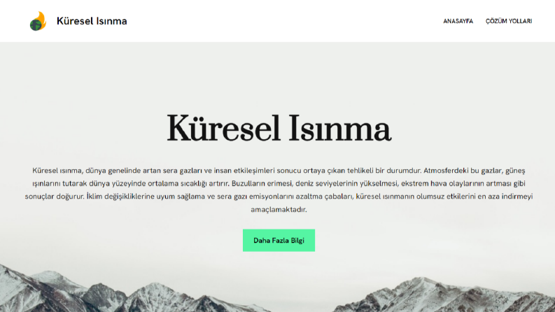 Bionluk Web Tasarım