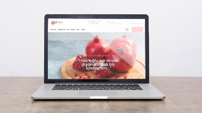 Kurumsal Web Site