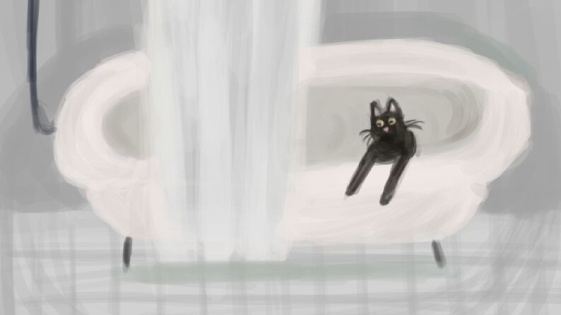 cat room