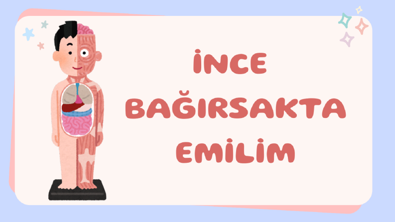 Lise Biyoloji Sunumum