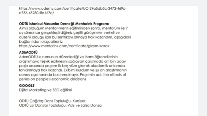 Ingenious- ÇEVİRİ VE İÇERİK ÜRETME