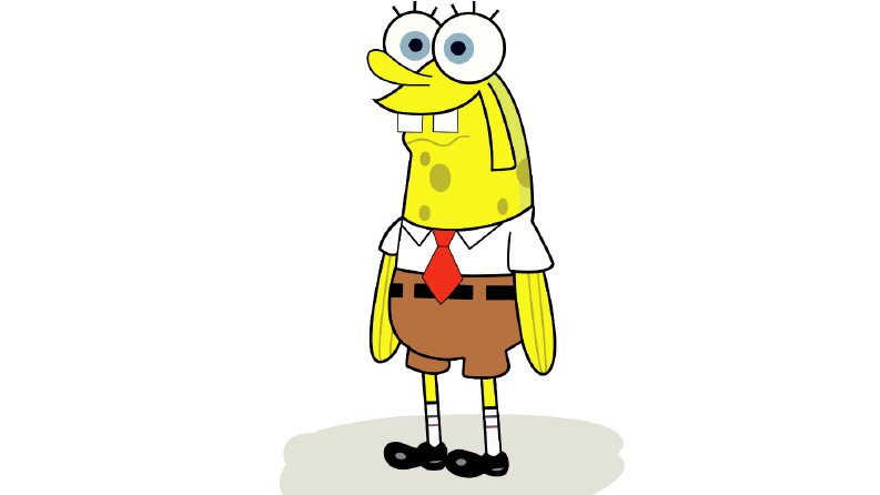 fish sponge