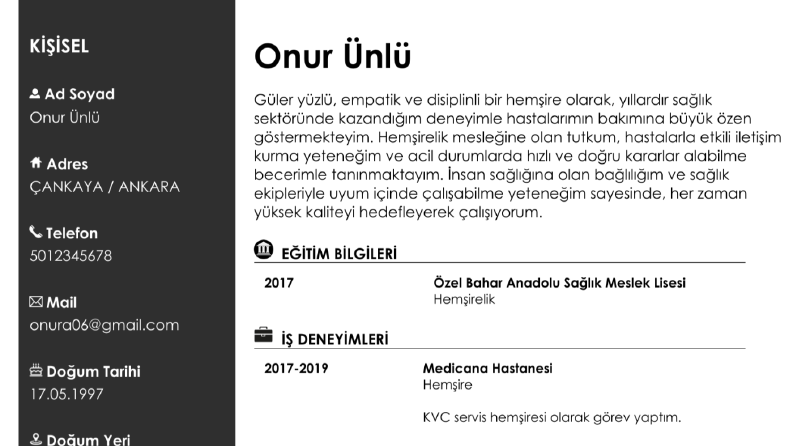 Profesyonel CV tasarımı !