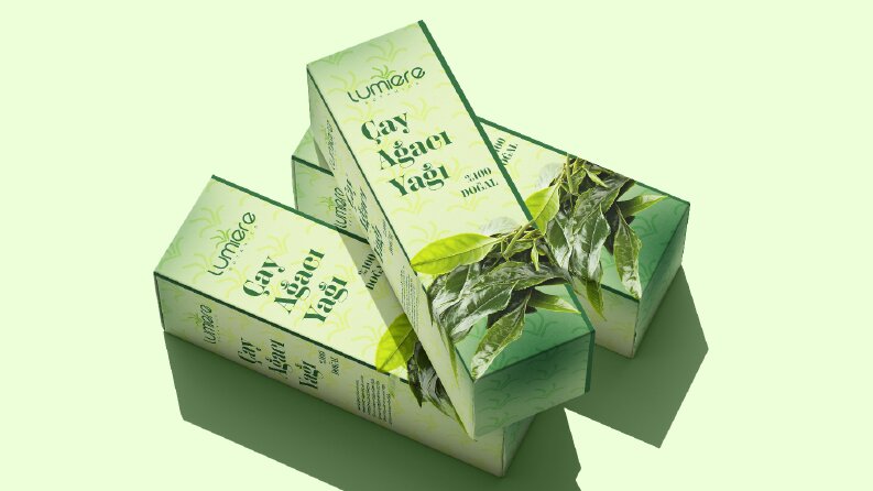 Ambalaj kutu tasarımlarım
