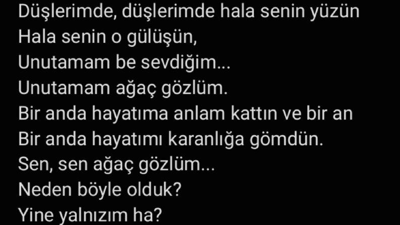 Şarkı Sözü