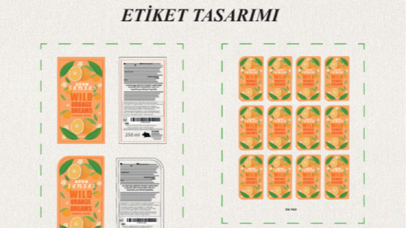 Profesyonel Ambalaj Tasarımı Hizmeti