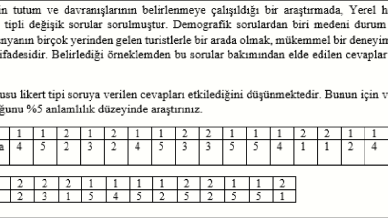 SPSS t Testi