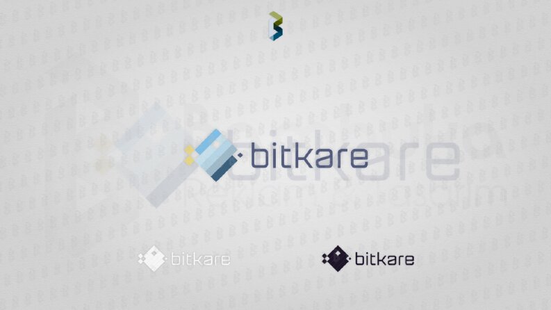 Bitkare Logotayp Tasarımı