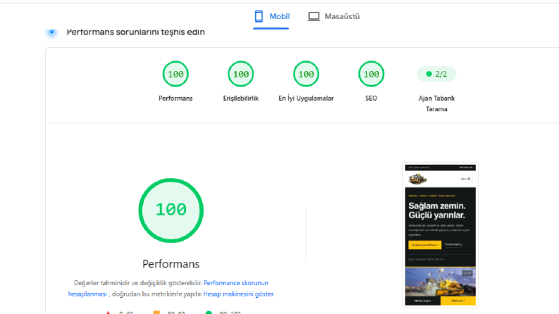 Pagespeed Optimizasyonu 100 Skor