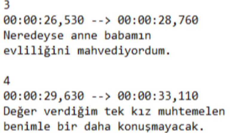 Dublaj Çevirisi